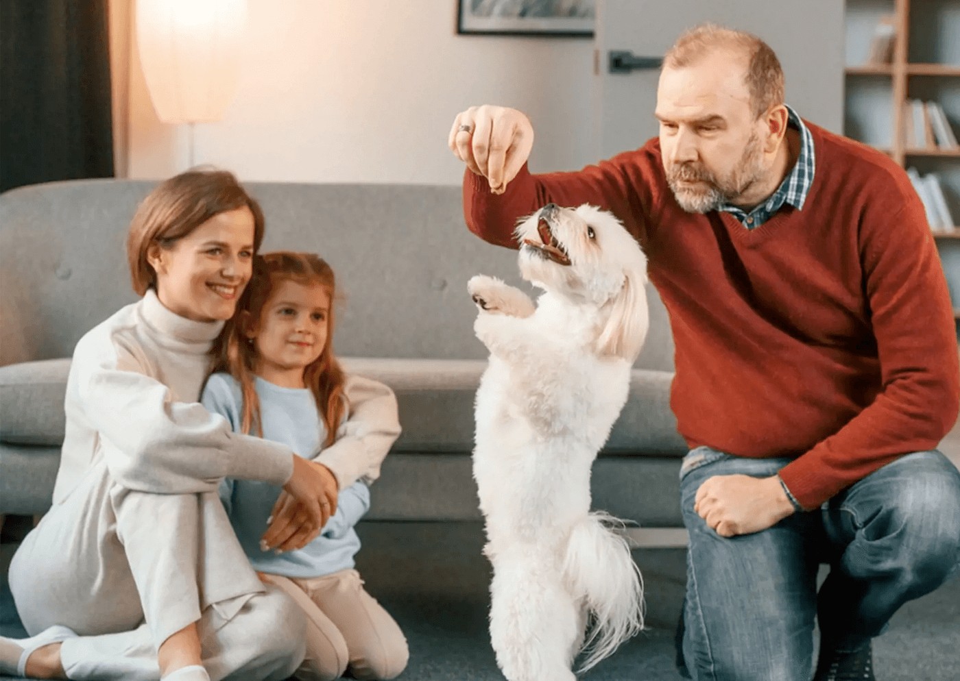 Atención médica preventiva en perros: guía completa bienestar