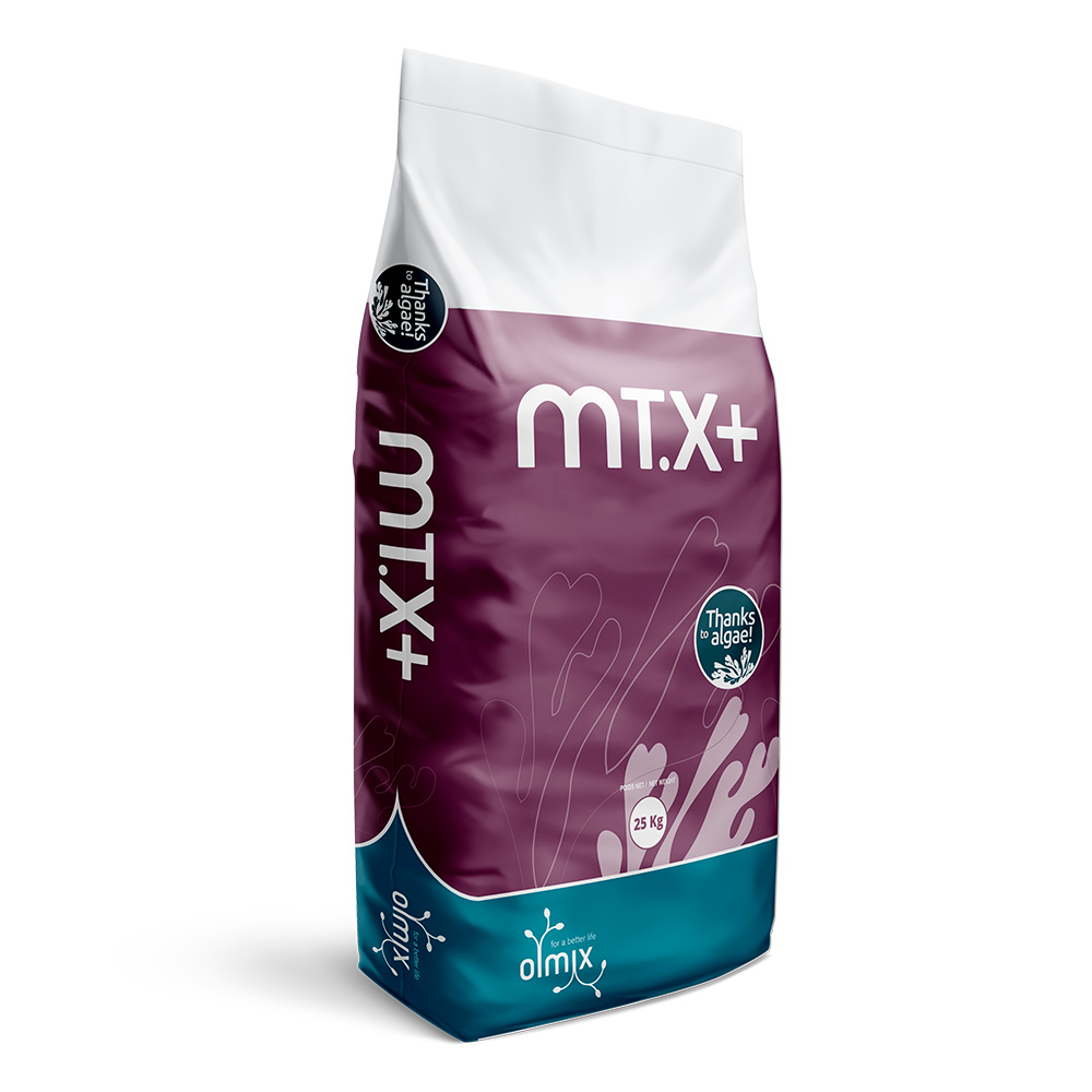 MT.X+/ OLMIX