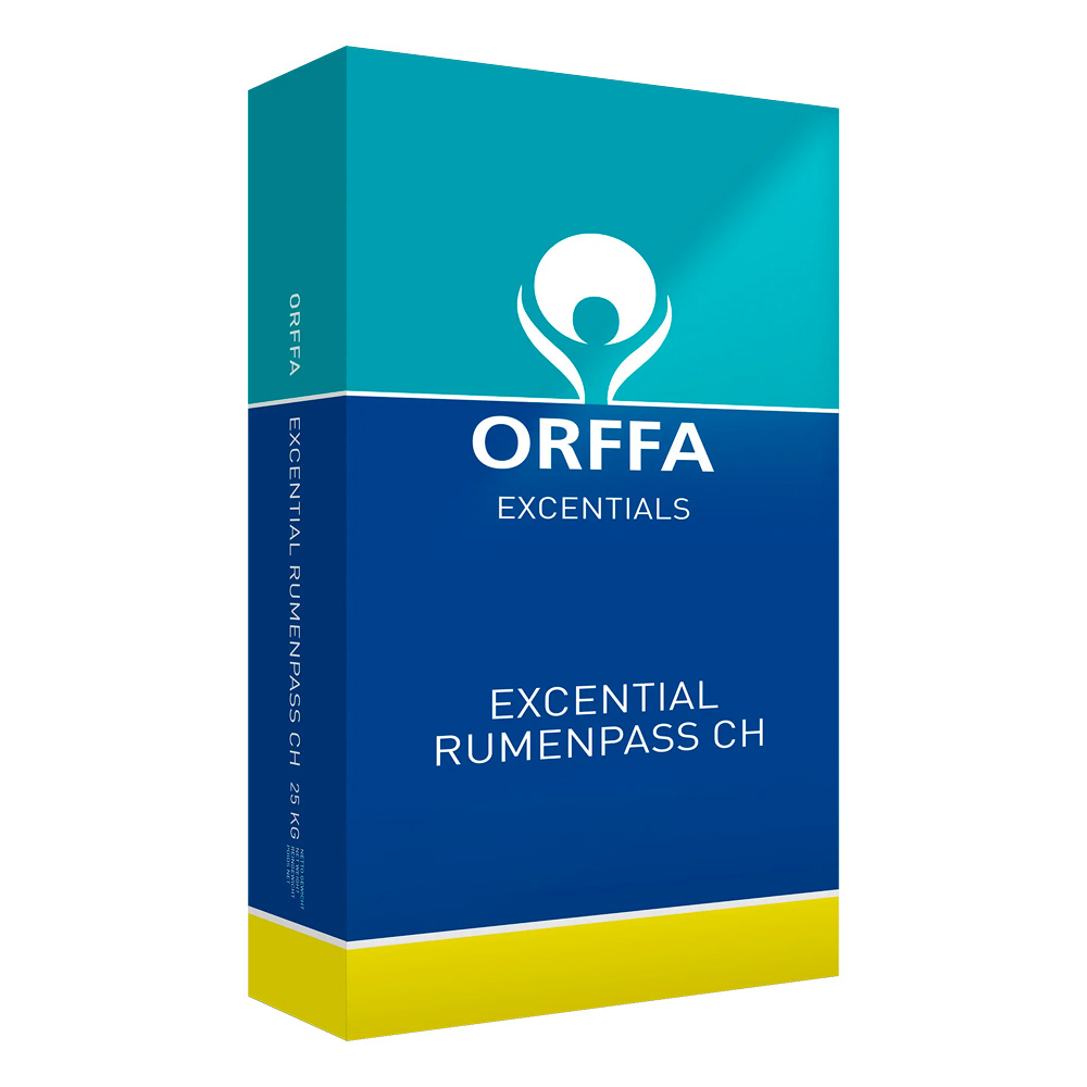 EXCENTIAL RUMENPASS CH