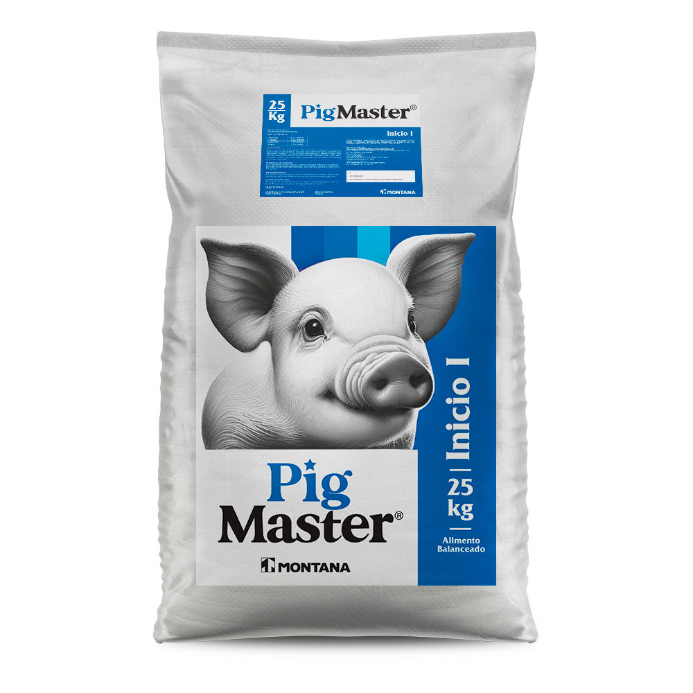 Pig Master® Inicio I