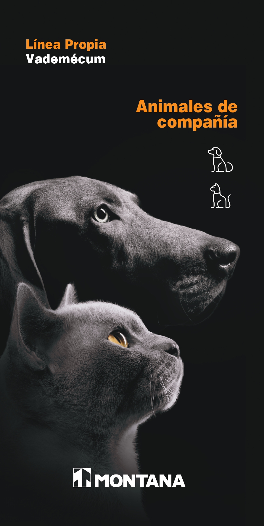 Portafolio Animales de Compañía