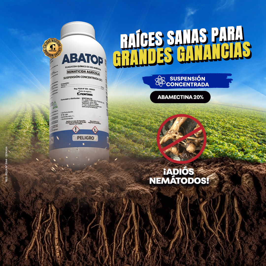 Imagen Slider