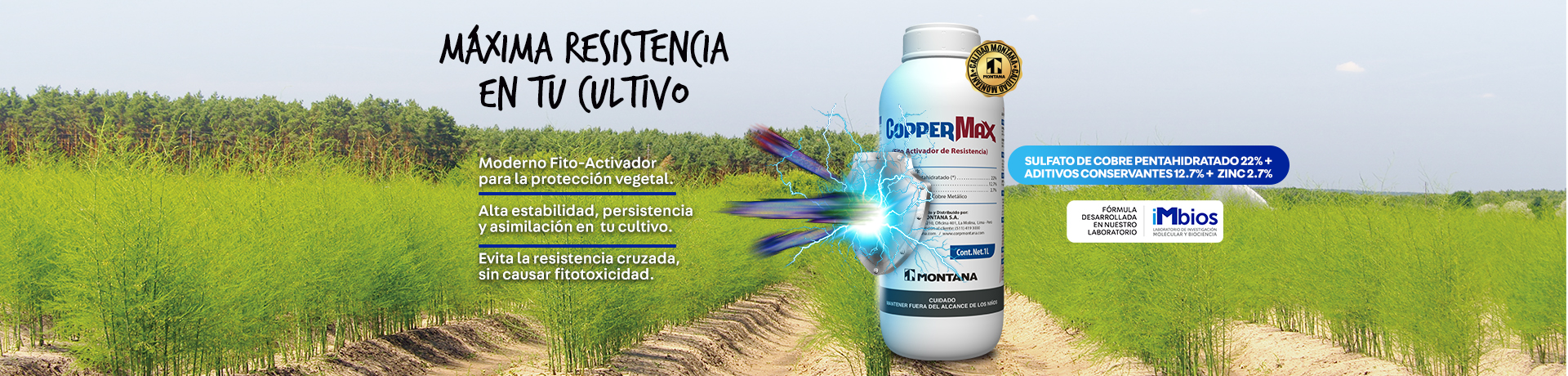 Imagen Slider