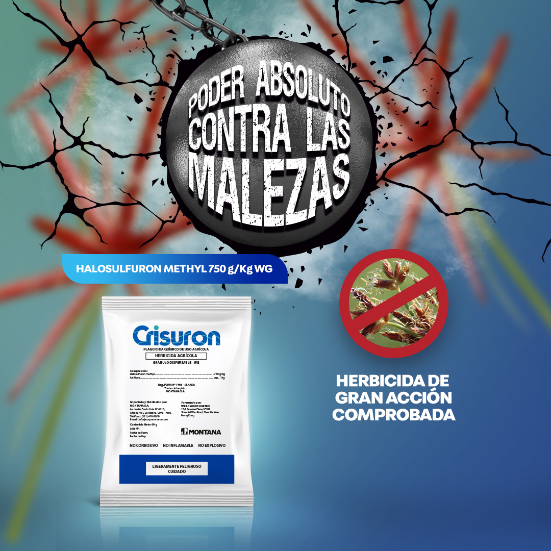Imagen Slider