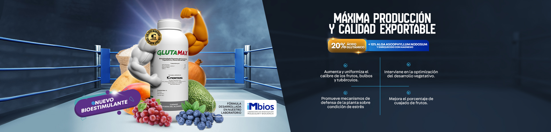 Imagen Slider
