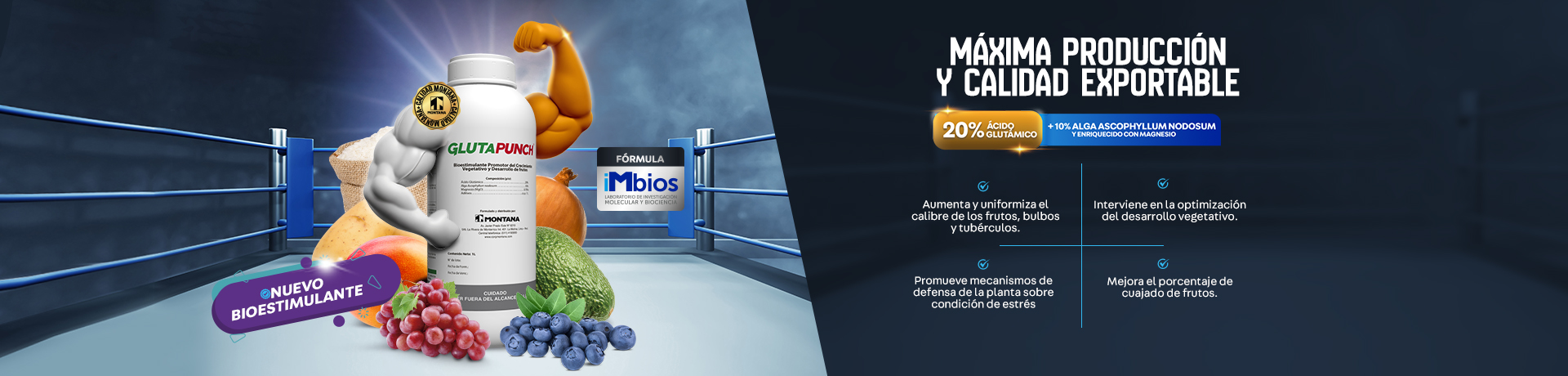 Imagen Slider